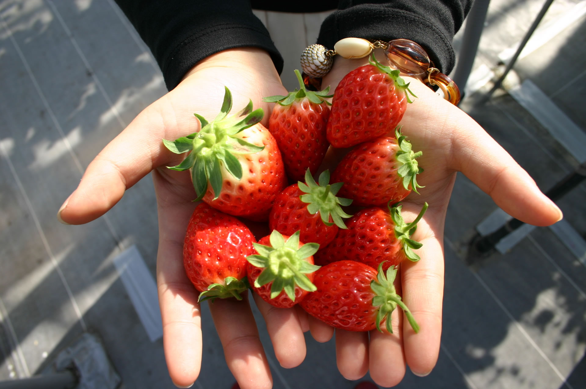 いちごの洗い方 Grandberry 大阪八尾のイチゴ狩り イチゴ直売